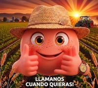 Icono contacto repuestos SORA